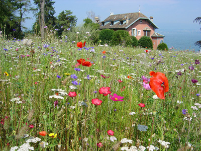 LES JARDINS DE L'EAU DU PRÉ CURIEUX