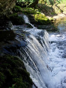 PARC DU CHÂTEAU D'ACQUIGNY