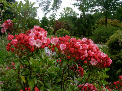 JARDIN BOTANIQUE DE GONDREMER