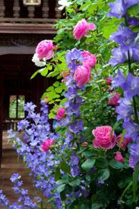Jardins Secrets