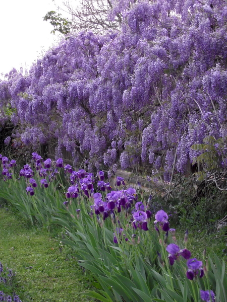 LE JARDIN DE RIVASSOUX