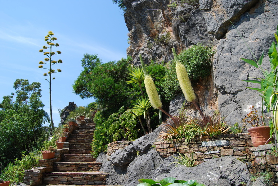 JARDIN MÉDITTERRANÉEN DE ROQUEBRUN