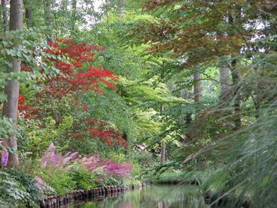 JARDIN ARBORETUM D'ILEX