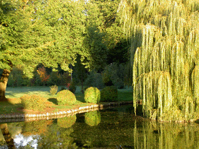 PARC ET JARDIN DE BOSMONT