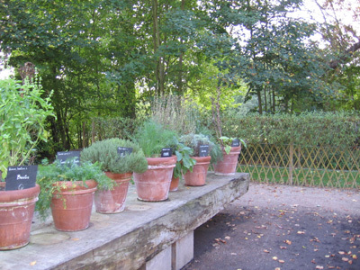 JARDINS DE L'ABBAYE DE ROYAUMONT