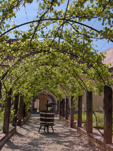 JARDIN MONASTIQUE DES DOMINICAINS DE HAUTE-ALSACE