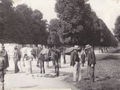 Parc du Pâtis