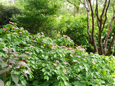 LES JARDINS DE KERLOUIS