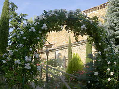 JARDIN DE L'ABBAYE DE VALSAINTES