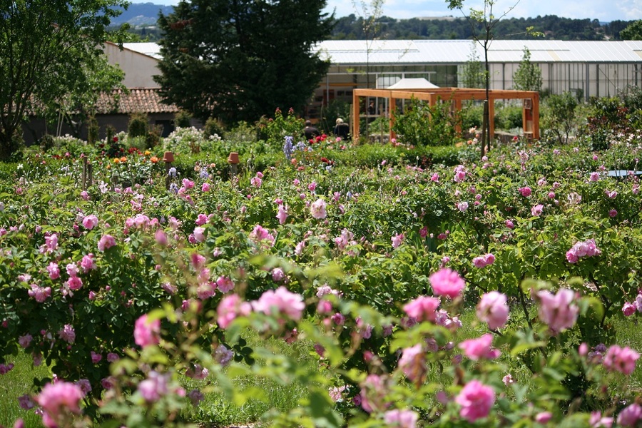 LES JARDINS DU MUSÉE INTERNATIONAL DE LA PARFUMERIE