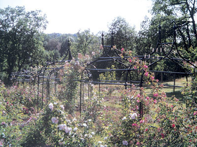 JARDIN D'EDEN DU CHÂTEAU DU COLOMBIER