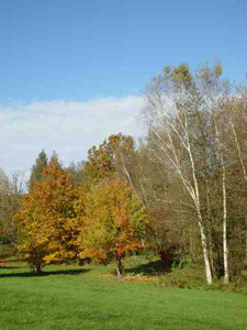 ARBORETUM DE BOISCORDE