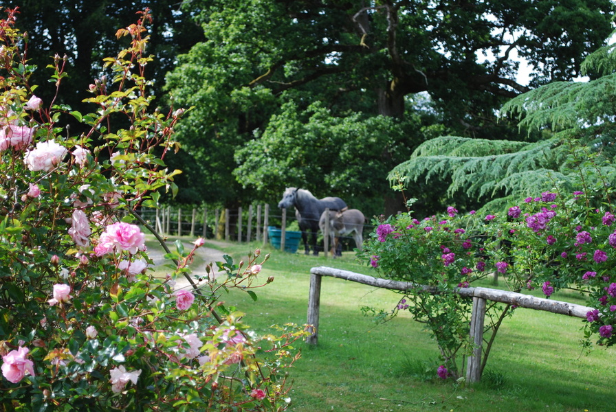 PARC ET JARDIN DE CLIVOY