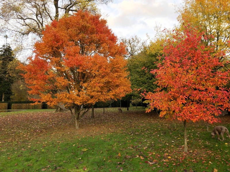 PARC DU CHATEAU DE BARLY