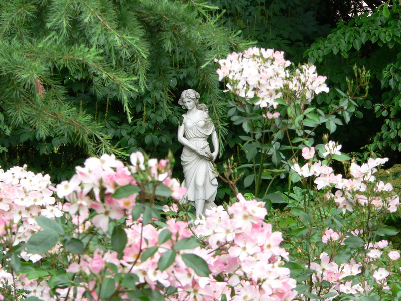 LE JARDIN DES SONGES