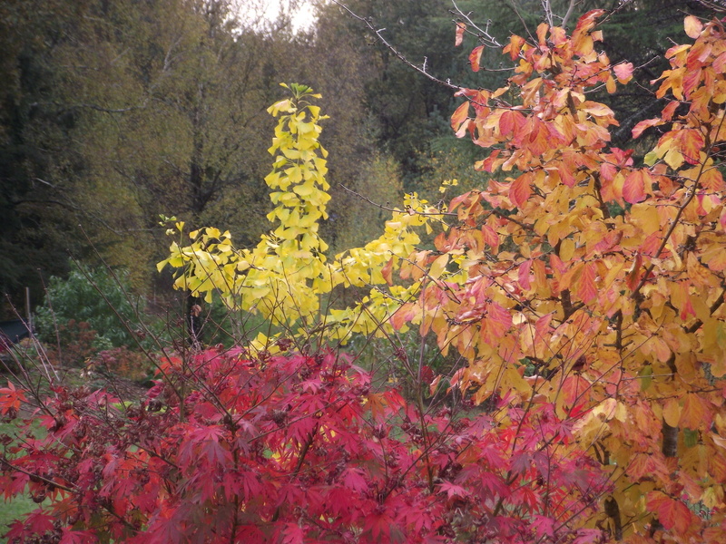 LE JARDIN DE RIVASSOUX