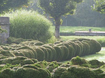 PARC ET JARDINS DU CHÂTEAU DE CHÂTILLON EN BAZOIS