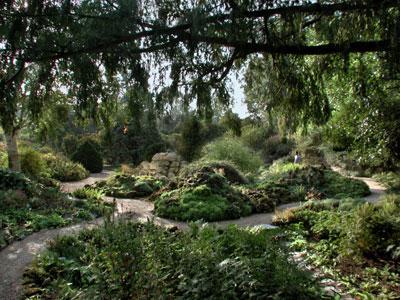 JARDIN DES PLANTES DE PARIS