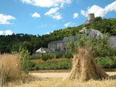 Potager-Fruitier du Château de La Roche-Guyon