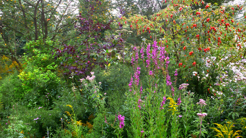 JARDIN D'ART ET D'ESSAIS