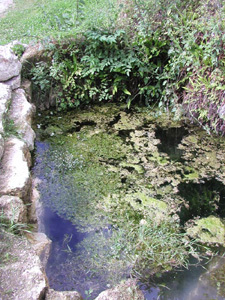 LE JARDIN HABITÉ ET LE JARDIN POTAGER PRÈS DE LA SOURCE