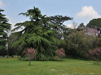 Parc du Château d'Espeyran