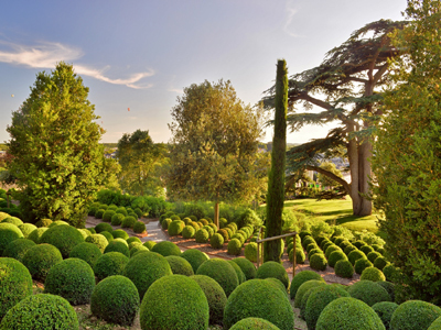 JARDIN DU CHÂTEAU ROYAL D'AMBOISE