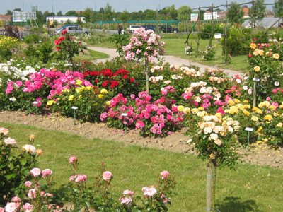 PARC FLORAL A LA FERME