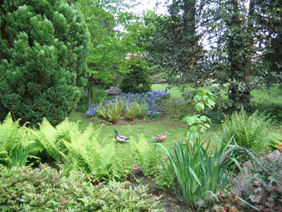 JARDIN BOTANIQUE DE LA VILLE DE METZ