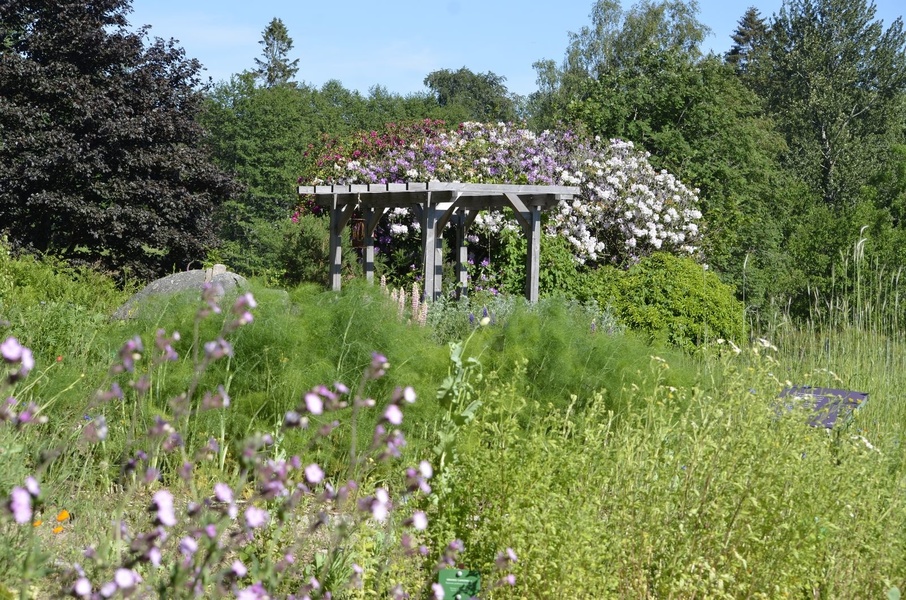 HERBULARIUM DE LA MAISON DU PARC