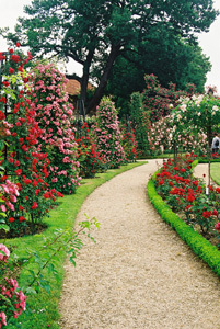 ROSERAIE DU VAL DE MARNE