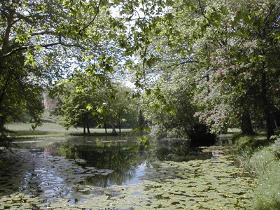 LE PARC DU MOULIN BLANC