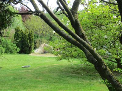 JARDIN LES COULEURS DU TEMPS