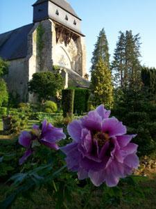 JARDIN BOTANIQUE DU PRIEURÉ D'ORCHAISE