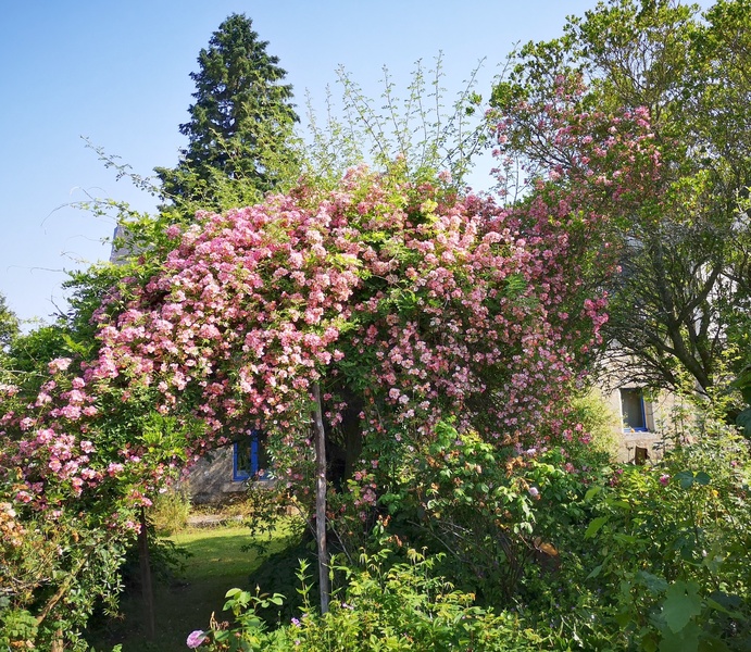 DOMAINE DE KERUSTEN