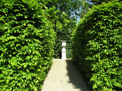 PARC ET JARDIN DE BARBEREY SAINT-SULPICE