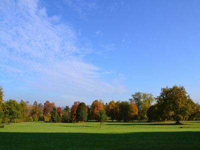 Parc de Bizy