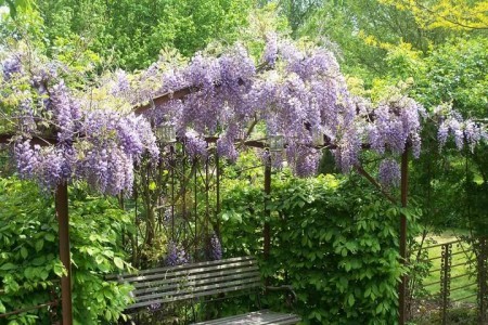 Jardin des quatre Temps