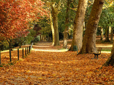 Parc Meissonier