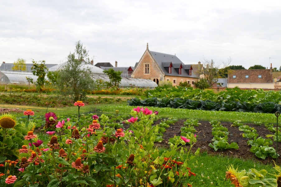 Jardin Potager à Bonnétable