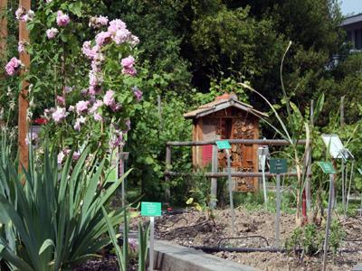 JARDIN BOTANIQUE DE L'UNIVERSITÉ DE STRASBOURG