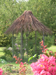 PARC BOTANIQUE DE NEUVIC