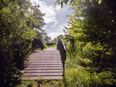 JARDIN BOTANIQUE DE MARNAY SUR SEINE