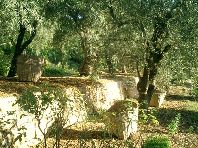 JARDIN DE LA VILLA FORT FRANCE