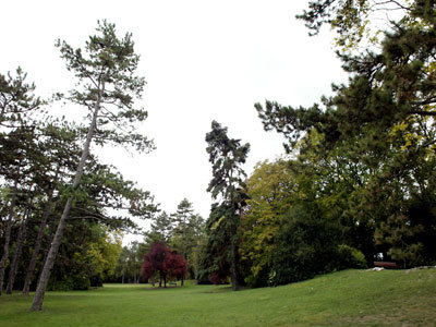 PARC DE CHAMPAGNE