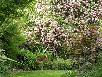 LE JARDIN DES ORCHIDÉES