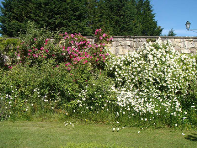 Parc de l'abbaye de Vaucelles