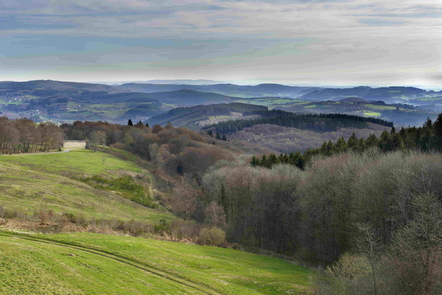 SITE DE BIBRACTE