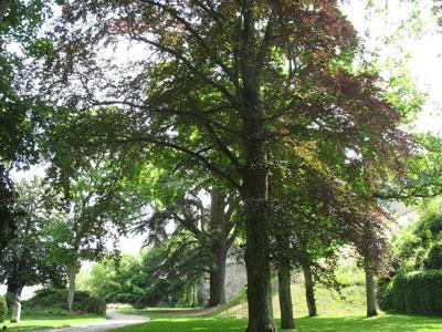 PARC DU CHÂTEAU DE VENDÔME