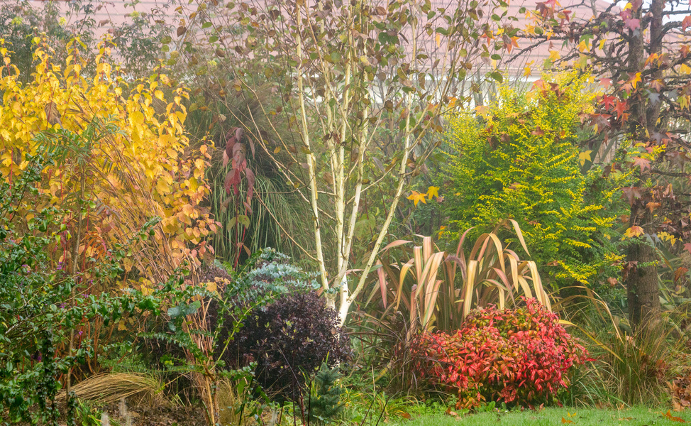 Jardin de Luchane